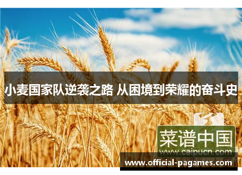 小麦国家队逆袭之路 从困境到荣耀的奋斗史