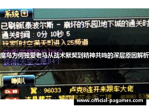 魔鸟为何独爱老马从战术默契到精神共鸣的深层原因解析